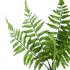 Веточка декоративная Папоротник Оноклея 35 см зеленый