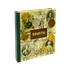 Книга-Альбом для монет 27х25х5 см картон глянец