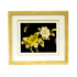 Картина Пионы и Бабочка 34х38 см соломка