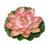 Лотос флористический 18х17см светло-розовый