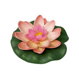 Лотос флористический 9х10 см светло-розовый