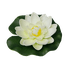 Лотос флористический 9х10см бело-зелёный