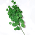 Ветка декоративная Эвкалипт Популус 80 см зеленый