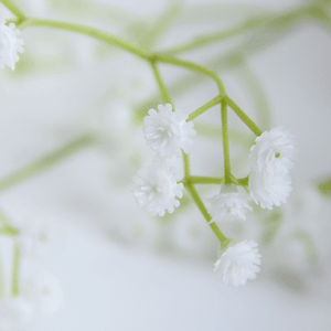 Ветка декоративная Гипсофила 65 см белые цветы
