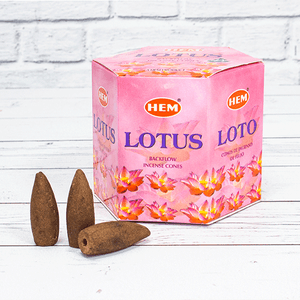 Благовония HEM пуля Лотос Lotus упаковка 40 шт стелющий дым