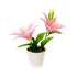 Цветок в горшочке Лилия 25 см
