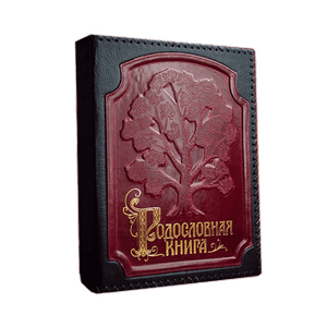 Родословная книга Изысканная с древом 25х31 см в оплётке натуральная кожа