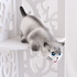 Кот на полку Хулиган 24 см белый с серым глянцевый