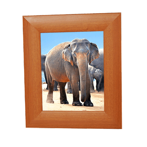 Ключница Картина на 9 крючков 30х35 см Слон