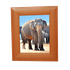 Ключница Картина на 9 крючков 30х35 см Слон