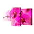 Мини Модуль на холсте `Розовый пестик` 78х50