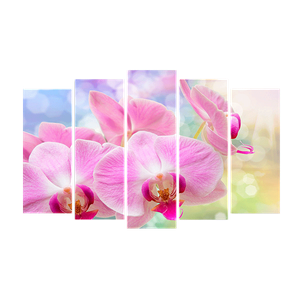 Пятимодуль Орхидеи розовые на цветном фоне 125х80 см