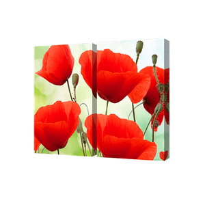 Модульная картина 100х70 см Маки