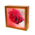 Шкафчик настенный для хранения 35х35 см Алая роза вишня