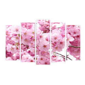 Пятимодуль 125х80 см Яблоневый цвет