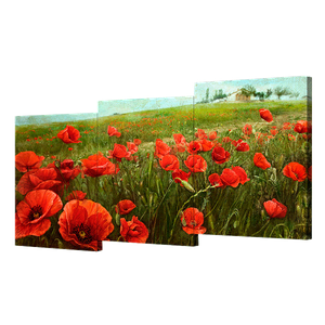 Модульная картина 150х70 см Маковое поле