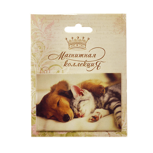 Магнитная открытка 7,5х5 см Кот и собака Сладкий сон