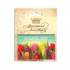 Магнитная открытка 7,5х5 см Тюльпаны Поздравляю