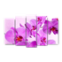 Пятимодуль Орхидеи фиолетовые 125х80 см