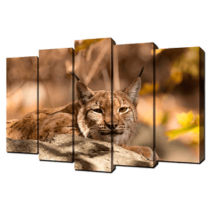 Пятимодуль 125х80 см Рысь