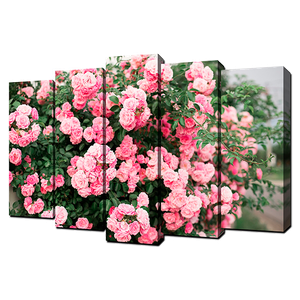 Пятимодуль 125х80 см Розовый куст