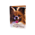 Магнит Книжка 4,5х6 см Собака - друг человека