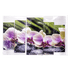 Пятимодуль Орхидея на зеленом Сад камней 124х76 см