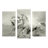 Модульная картина 95х67 см Два Коня