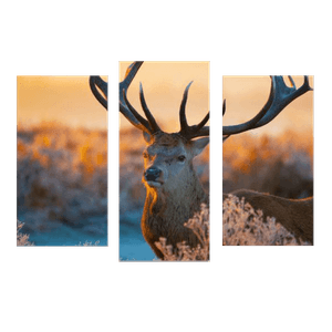 Модульная картина 95х67 см Олень
