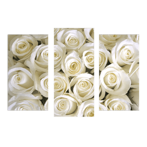 Модульная картина 95х67 см Белые Розы
