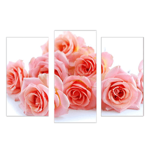 Модульная картина 95х67 см Розы  терра на белом фоне