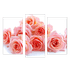 Модульная картина 95х67 см Розы  терра на белом фоне