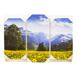 Модульная картина 95х67 см Одуванчики в горах