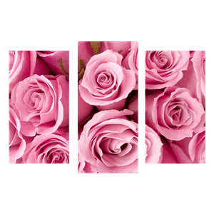 Модульная картина 95х67 см Розовые розы