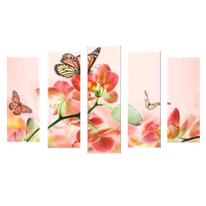 Пятимодуль 123х74 см Орхидея и бабочки
