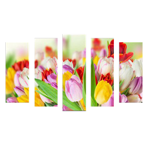 Пятимодуль 123х74 см Тюльпаны