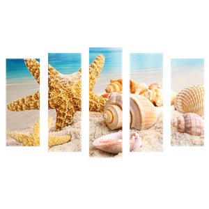 Пятимодуль 123х74 см Ракушки