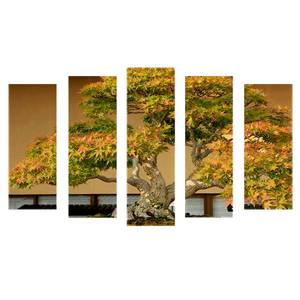 Пятимодуль 123х75 см Клен