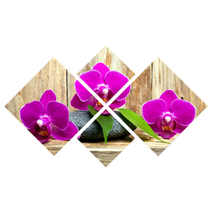 Модульная картина 108х70 см Орхидеи