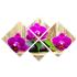 Модульная картина 108х70 см Орхидеи