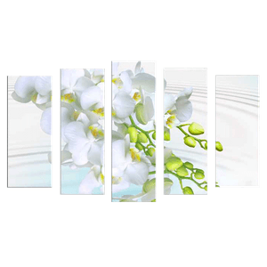 Пятимодуль 123х74 см Белая орхидея