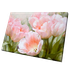 Постер 64х44 см Первые тюльпаны