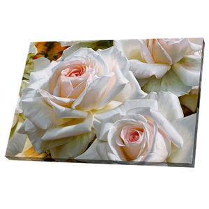 Постер 94х54 см Белые розы