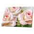 Постер 94х54 см Розовые розы