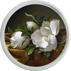 Картина в круглой раме 49х49 см Белые цветы на темном фоне белая рама
