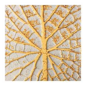 Постер 40х40 см Макро серый фон