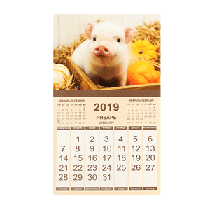 Календарь 2019 магнитный 9,5х16,5 см Поросенок и тыквы