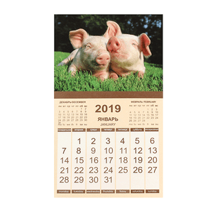 Календарь 2019 магнитный 9,5х16,5 см Два поросенка на травке
