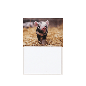 Блокнот магнитный 8х11 см Поросенок на сене