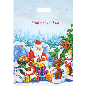 Пакет полиэтиленовый Дед Мороз со списком подарков 36,5х48 см